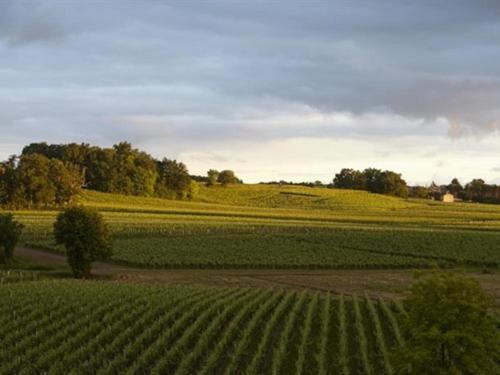 Château La Rose Perrière Lussac  Extérieur photo